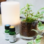 オフィスで使える！周りを気にせずデスクでアロマを楽しむ３つの方法♪