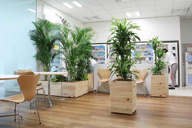 プランター棚とグリーンの組み合わせでオフィスに癒しと潤いを！
