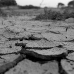 すぐに実践できる！オフィスでできる簡単乾燥対策！