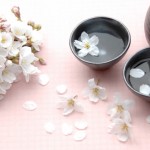 お花見で会社の幹事を任されたら？覚えておきたいコツとマナー