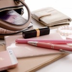 活用してビジネスバッグの中をスマートに。 バッグインバッグのご紹介