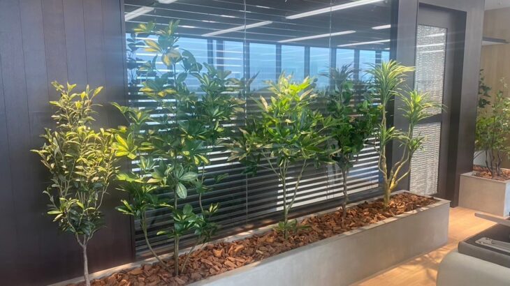 フェイクグリーンを超えた「オフィスガーデンデザイン」とは？